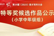 第39届“楚才”特等奖候选作品（小学中年级组）公示来了！